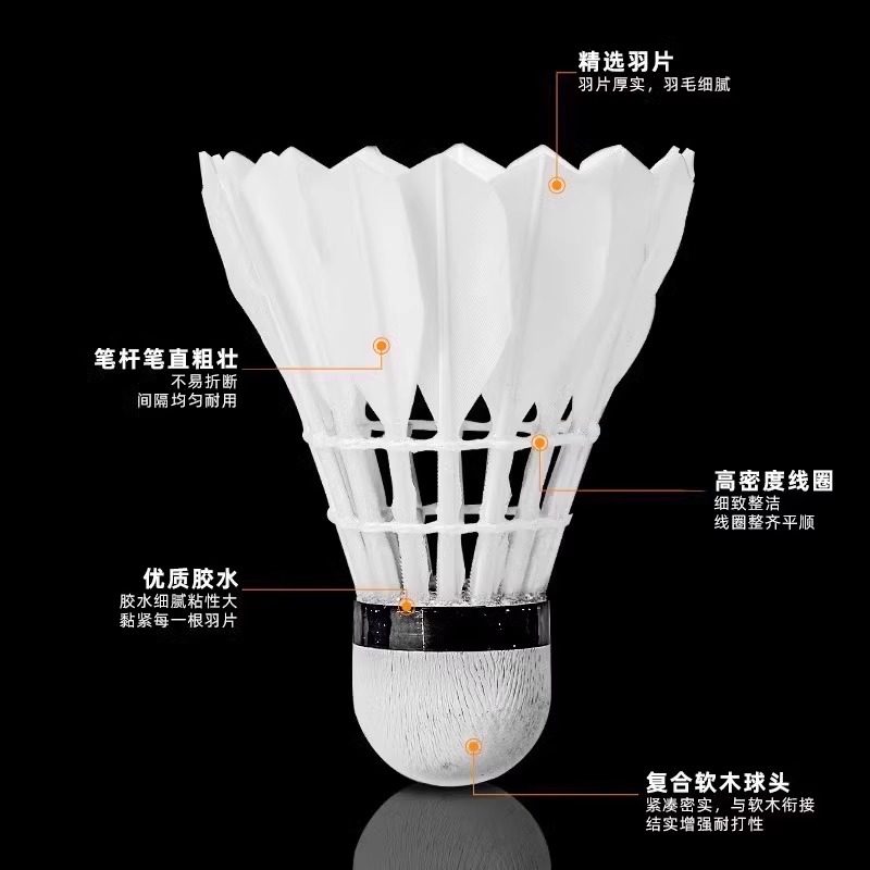 Volantes de bádminton Lion de  - Feather Shuttlecock reseña y precio