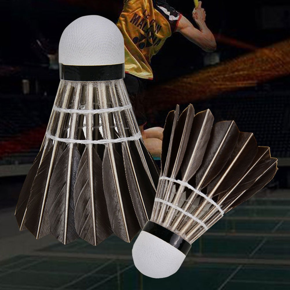 3/6/12 Piezas de Volantes de B - Feather Shuttlecock reseña y precio