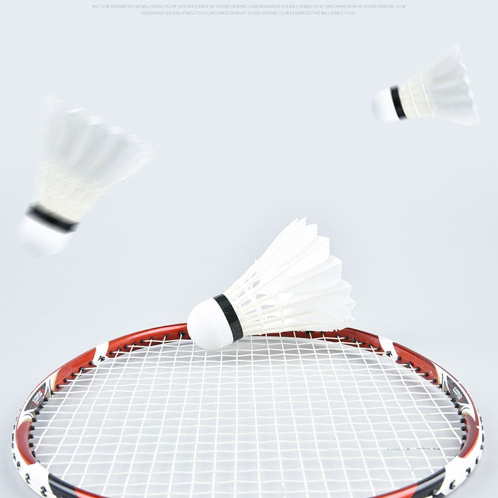 3/6/12 unidades de nuevas bola - Feather Shuttlecock reseña y precio