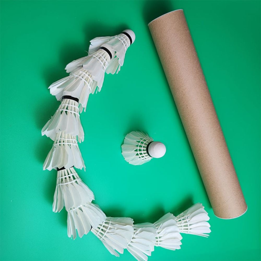 3/6/12 unidades de nuevas bola - Feather Shuttlecock reseña y precio